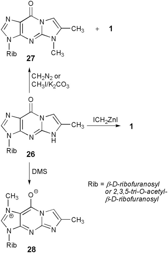 Scheme 5