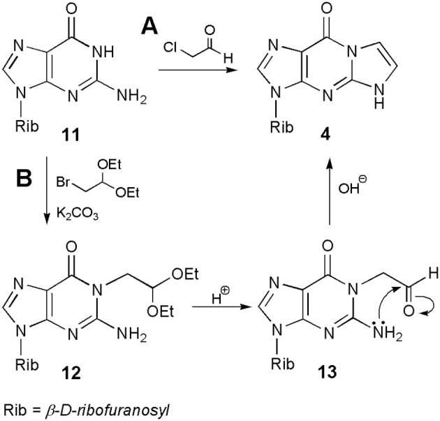 Scheme 2