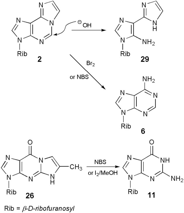 Scheme 6