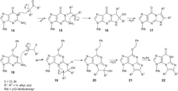 Scheme 3