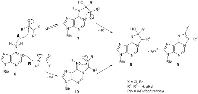 Scheme 1