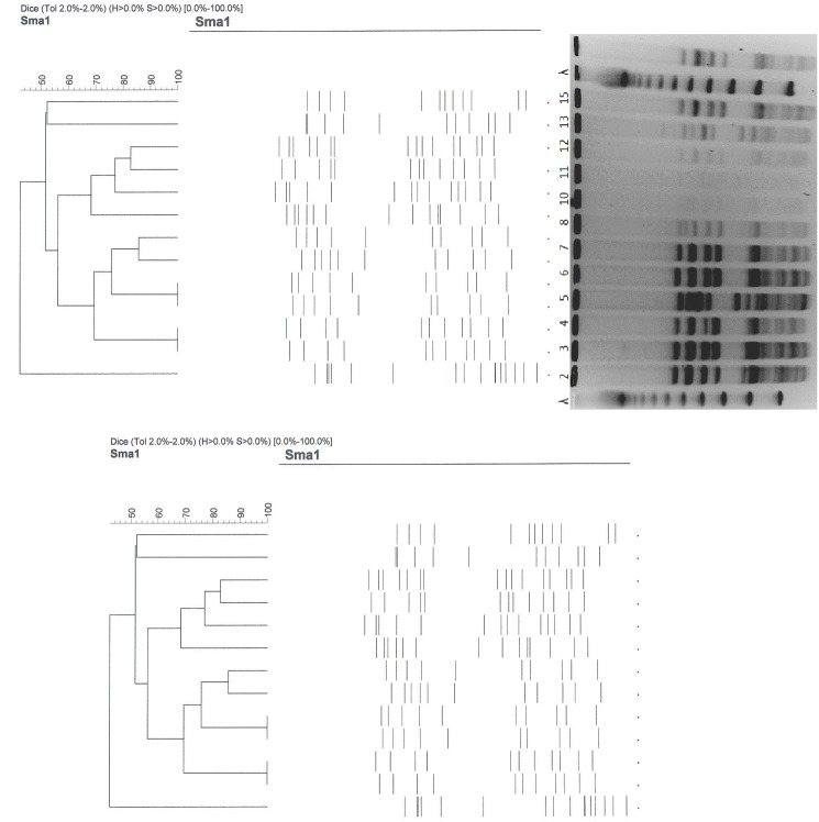 Fig 1