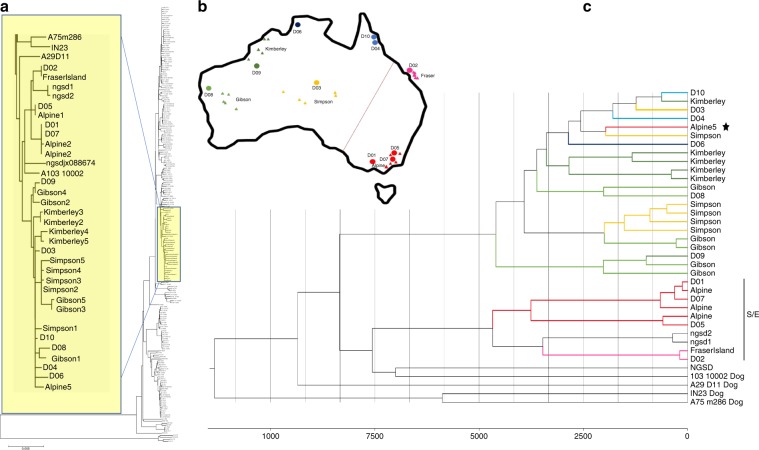 Fig. 3