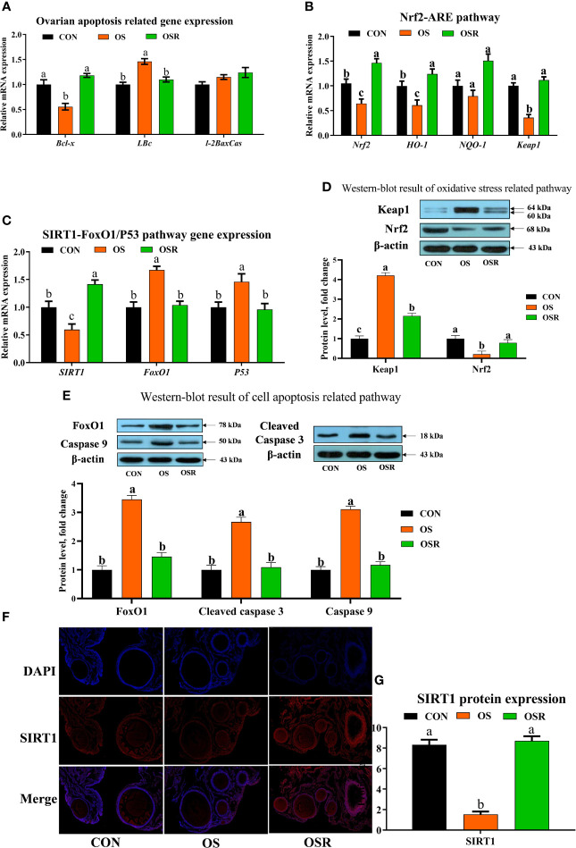 Figure 4