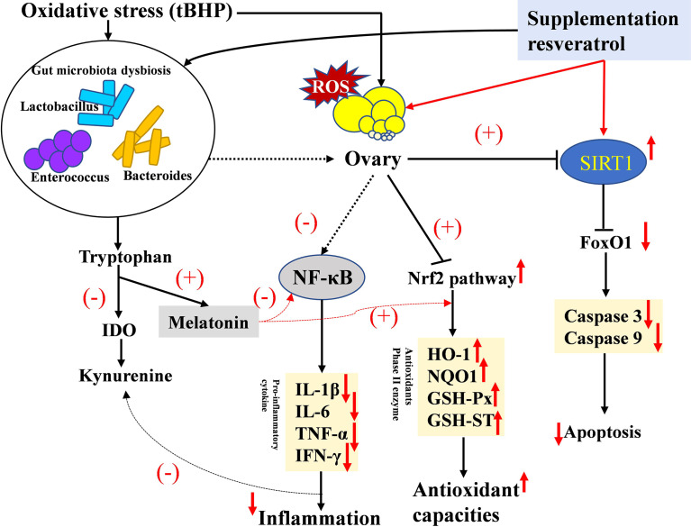 Figure 10