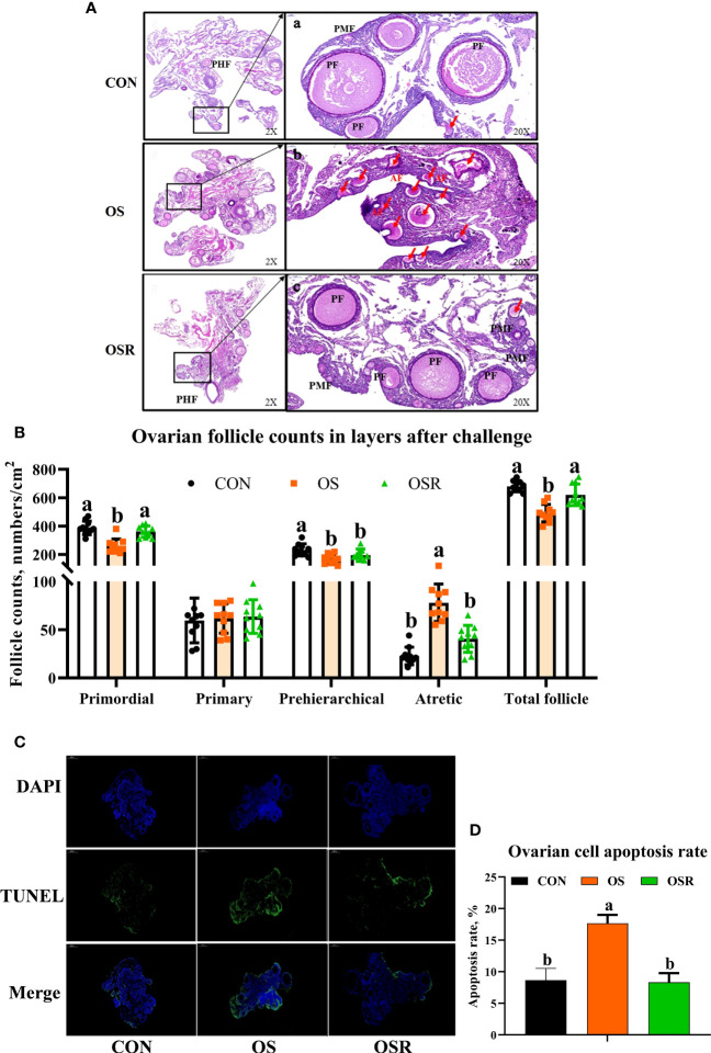 Figure 3