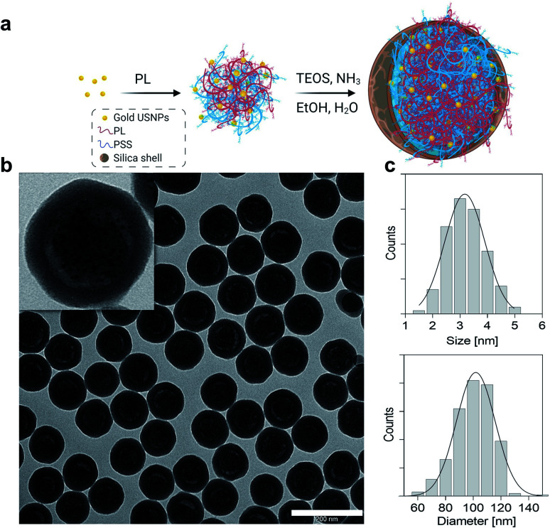 Fig. 1