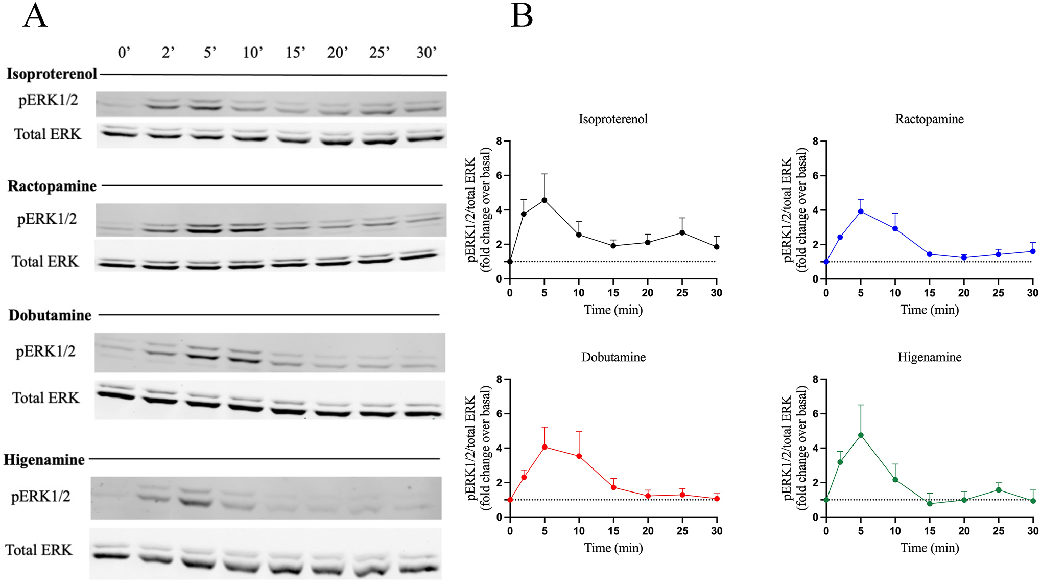 Figure 4 –