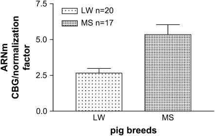 Figure 1.—