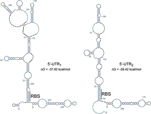 FIG. 7.