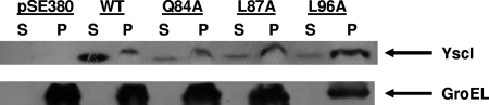 FIG. 8.