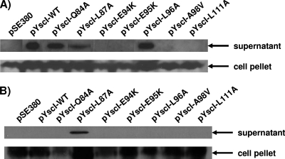 FIG. 7.