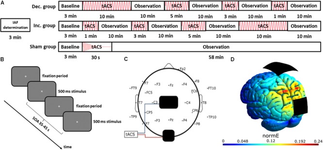 FIGURE 1