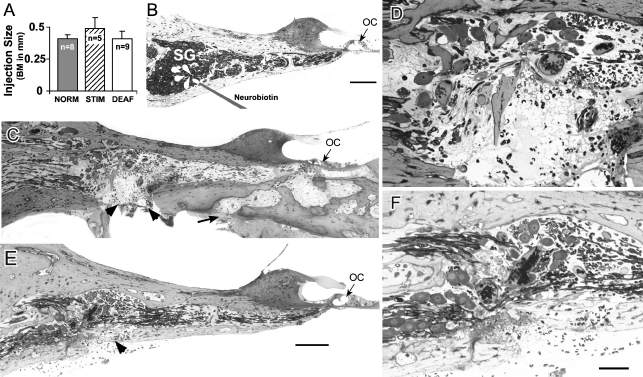 FIG. 2.