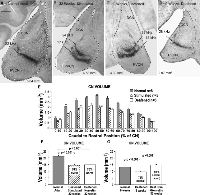 FIG. 3.