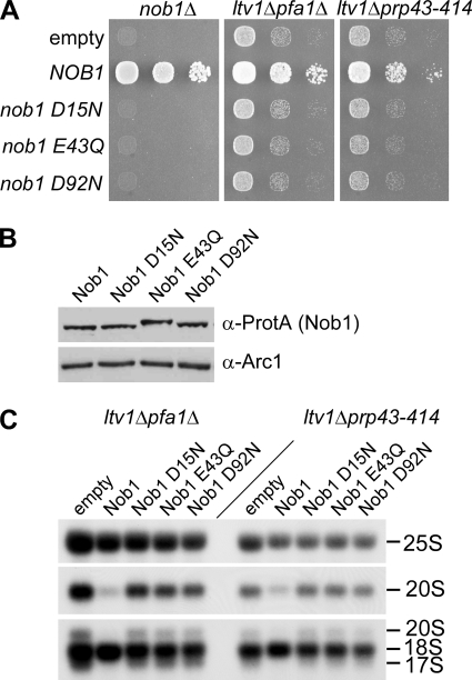 FIGURE 9.