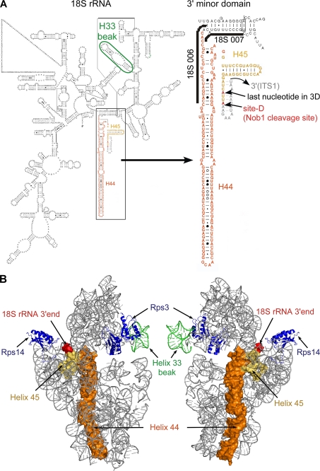 FIGURE 10.