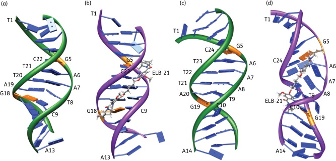 Figure 2.