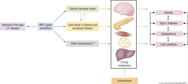 Figure 7.