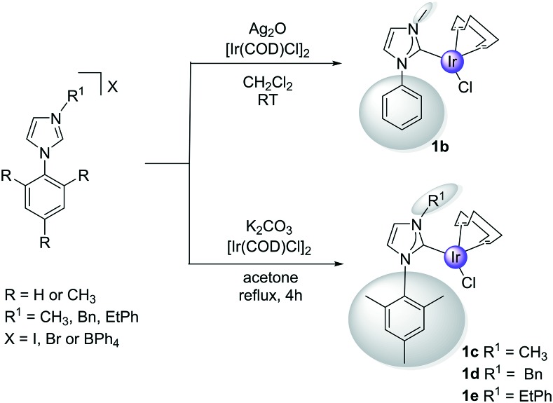 Scheme 3