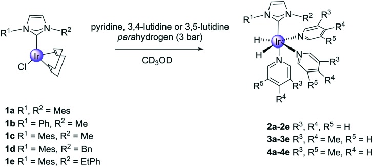 Scheme 4