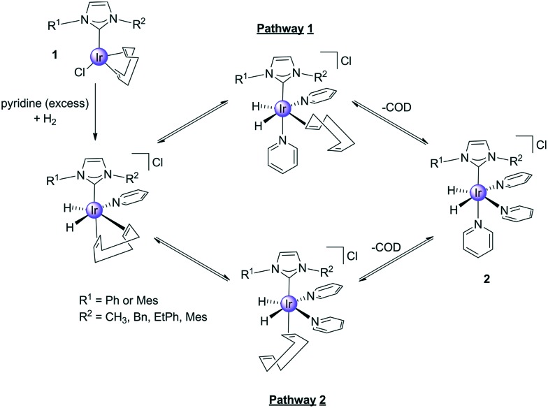 Scheme 2