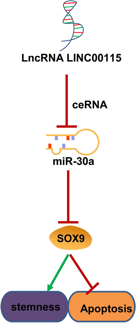 Fig. 9