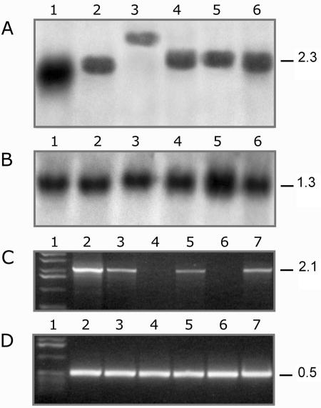 Figure 6.