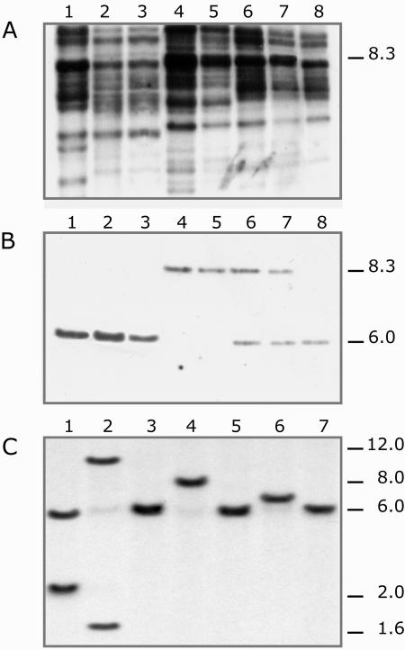 Figure 2.