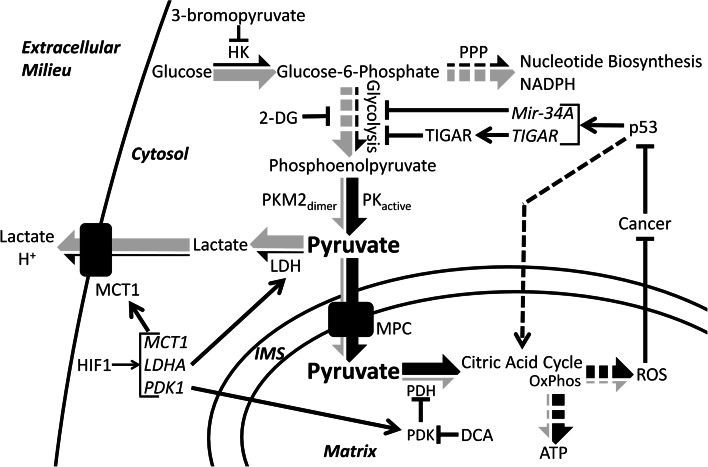 Fig. 3