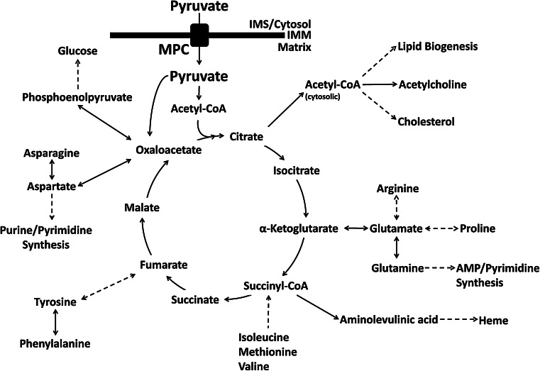 Fig. 2