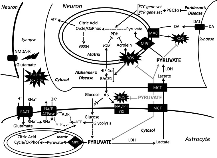 Fig. 4