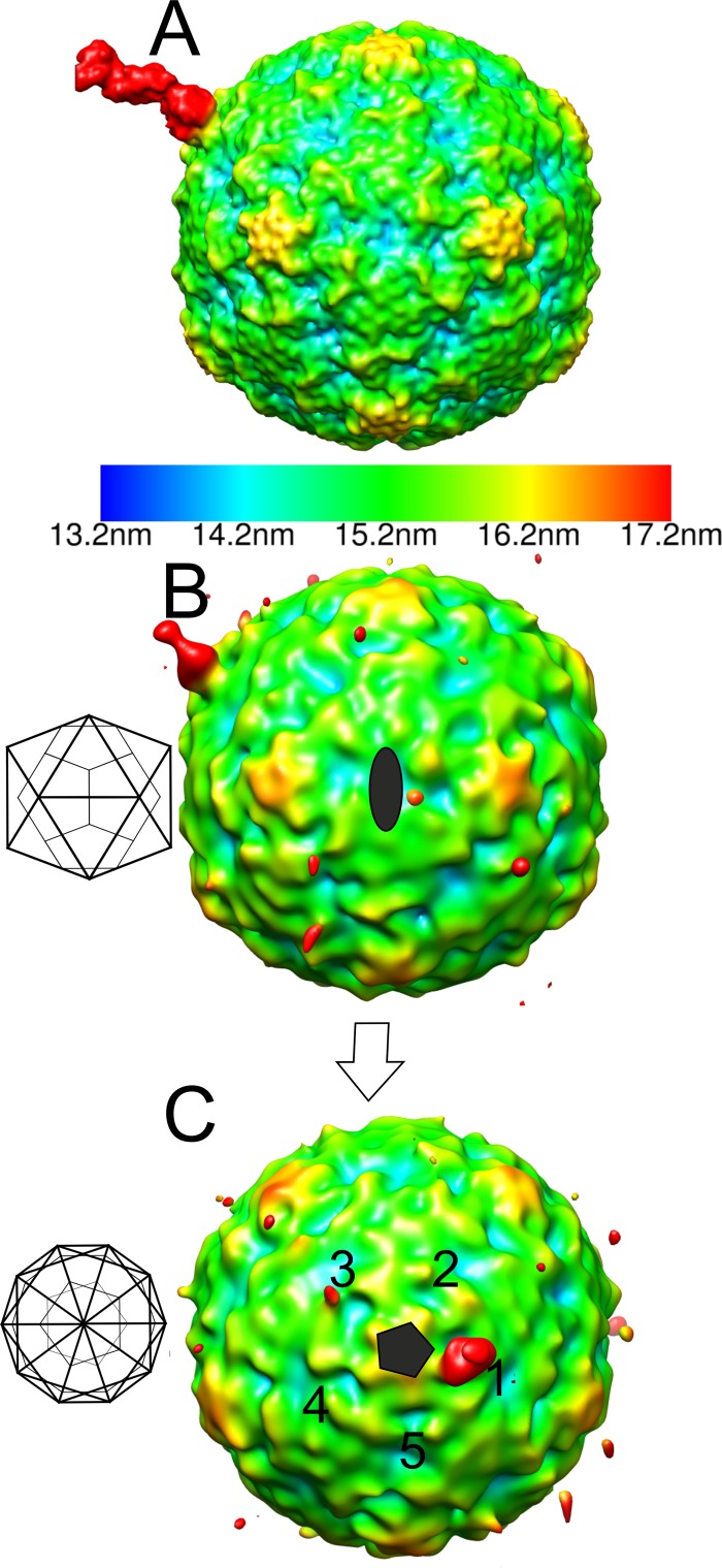 Fig 4