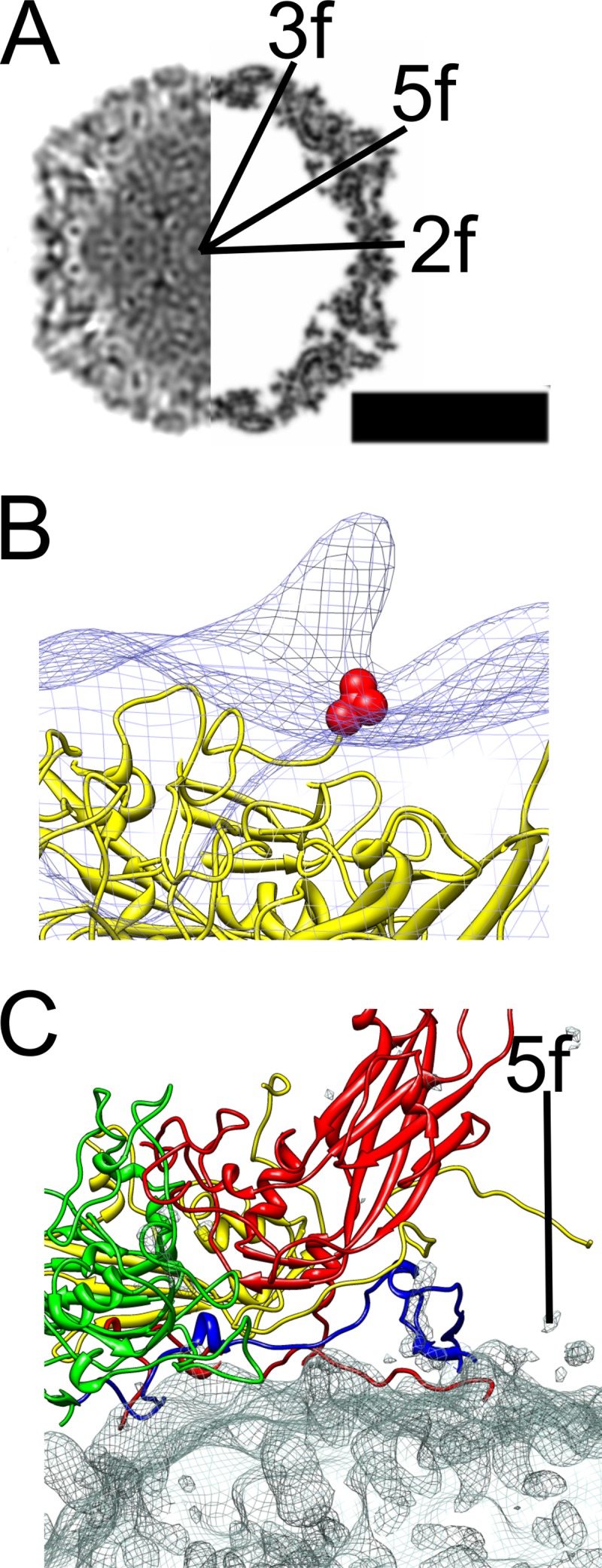 Fig 2