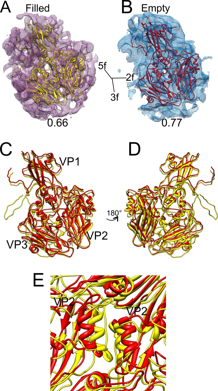 Fig 6