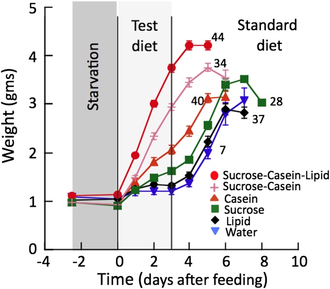 Fig. 4.