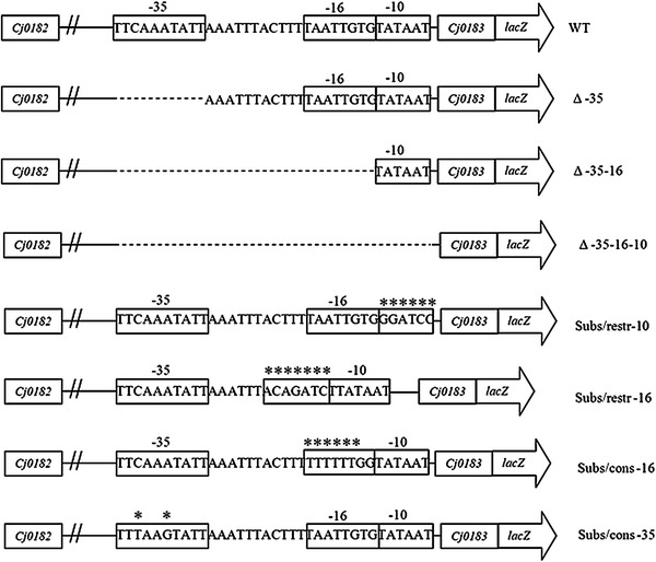 Fig. 2