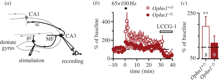 Figure 4.