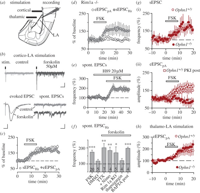 Figure 3.