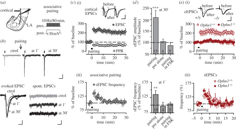 Figure 2.