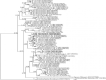 Figure 7: