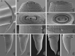 Figure 3:
