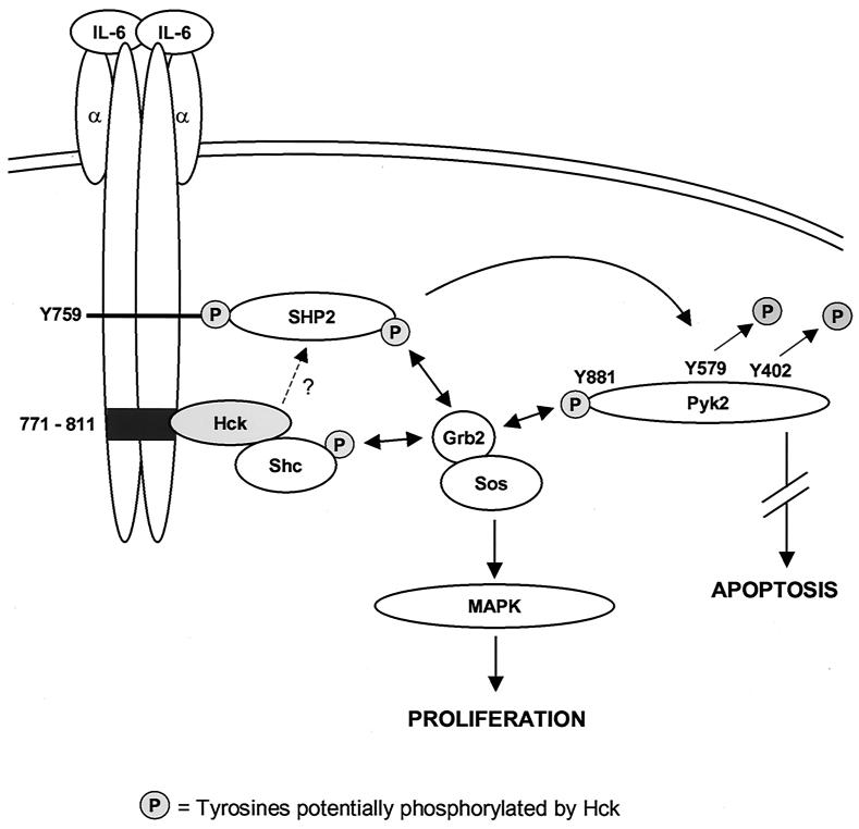 FIG. 8