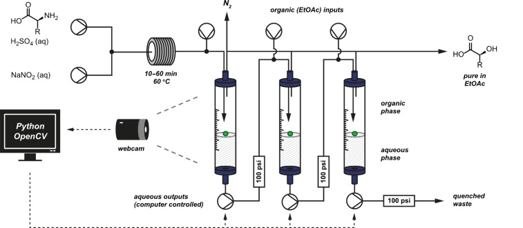 Figure 31