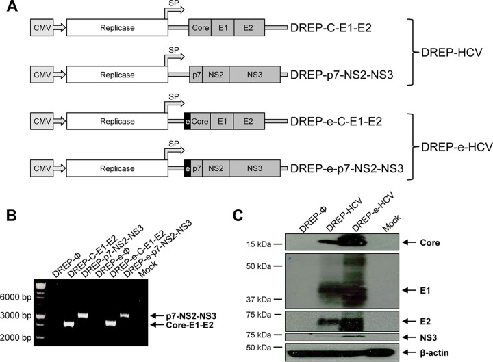 FIG 1