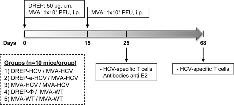 FIG 3