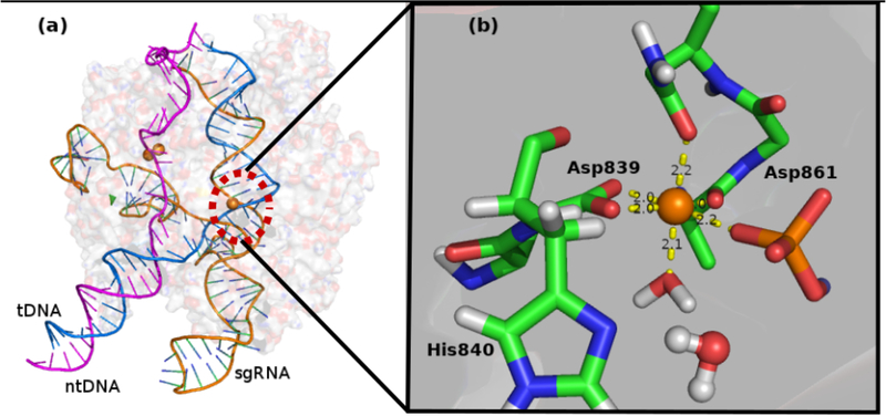 Figure 3: