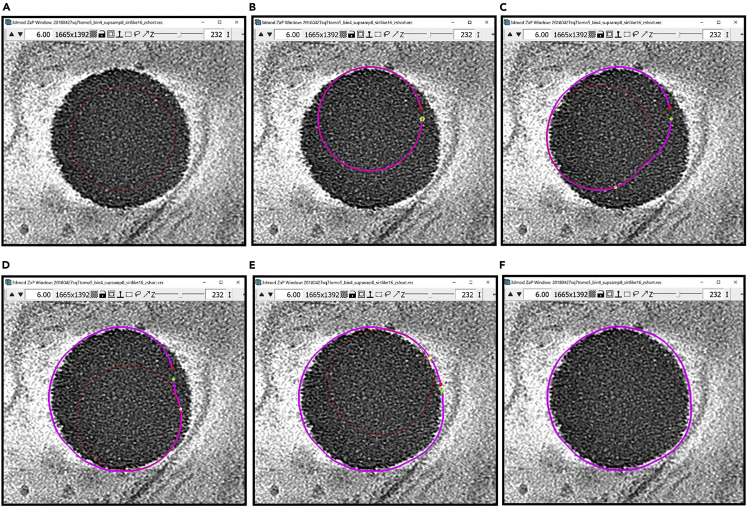 Figure 21