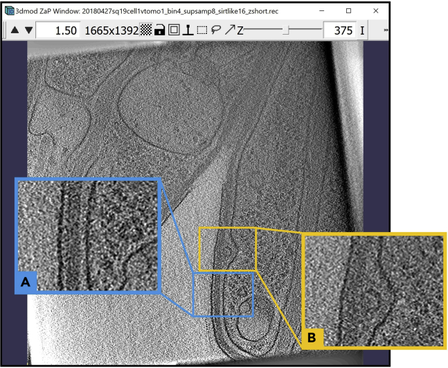 Figure 3