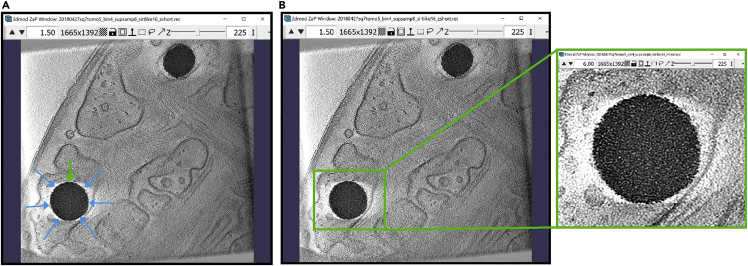 Figure 19